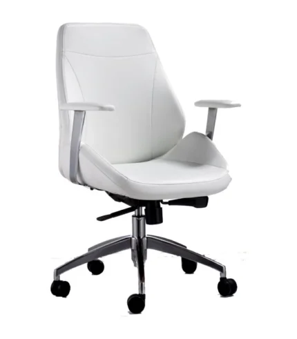 DI 1209 visitor chair for Executive Office Get Best Deals