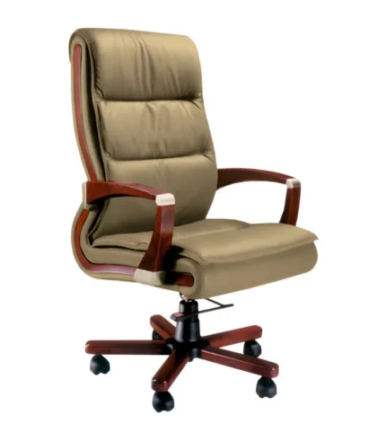 DI 1216 | CEO Chair | Manufacturer in Delhi by Woodbine