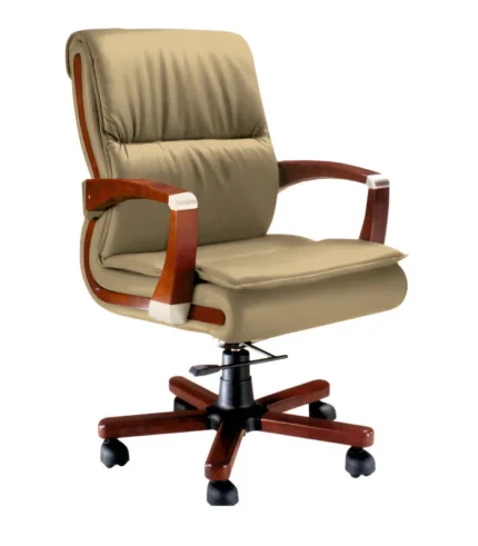 DI 1217 Visitor Chair for CEO Cabin Direct from Manufacturer
