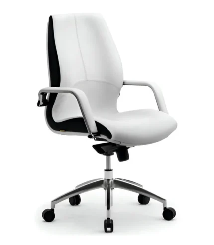 DI 1223 Woodbine Ergonomic Guest Chair Manufacturer in Delhi