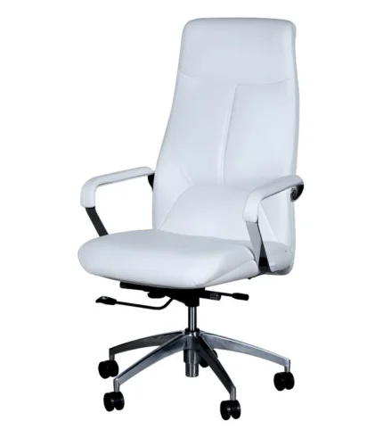 DI 1238 Woodbine Premium Senior Executive Chairs supplier