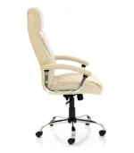 Director Chair Manufacturers supplier in Delhi, India