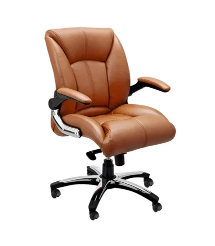 DI 1231 Woodbine Visitor Chairs: Buy online Kota Jaipur