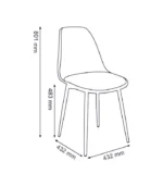 DI 2007 Cafe Chair with polypropylene alloy seat and cushion, metal frame with wood grain finish, perfect for cafes in Pathankot.