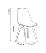 DI 2008 Cafe Chair featuring durable polypropylene alloy structure and sleek design, perfect for stylish café seating in Gurdaspur