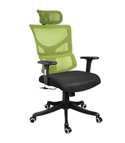 Ergonomic Mesh Chair DI 1601 - Buy in Delhi Now