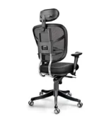 DI 1603 ergonomic chair with high back, adjustable headrest, and seat depth. Includes breathable mesh, lumbar support, and Syncro tilt mechanism.