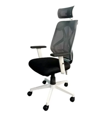 DI 1607 Get Mesh Chair Now - Get Top Office Chairs in Nagpur
