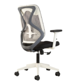 Get Ergonomic Mesh Chair DI 1608 - Premium Office Chair Ranchi