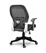 Order Ergonomic Mesh Chair DI 1615 - Premium Office Chair Pune