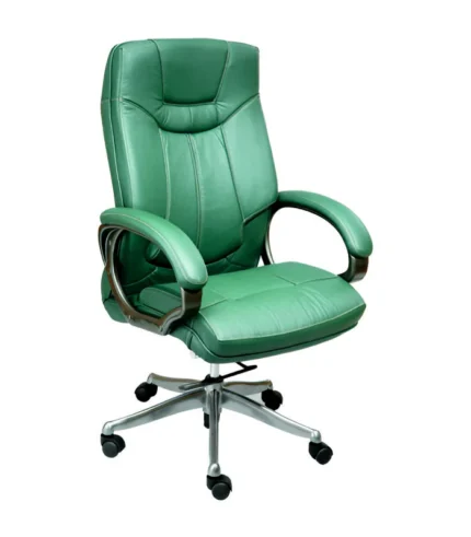 ergonomic hi-back manager chair-DI 1417 Pilani Sikar Ganganagar