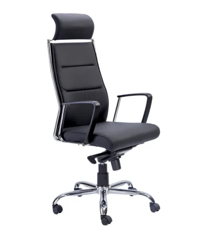 Ergonomic Hi-Back Chair: 8 Premium Features | DI 1315 in Kolkata, Ahmedabad, Jaipur