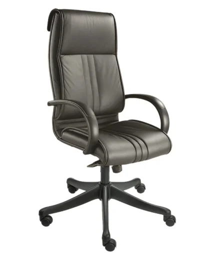Manufacturer Of Premium Manager Chairs | Woodbine - India