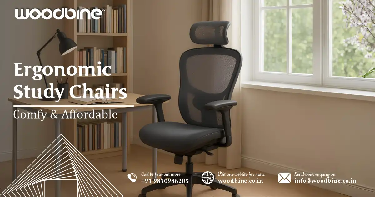 Buy Ergonomic Study Chairs Online – Comfy & Affordable