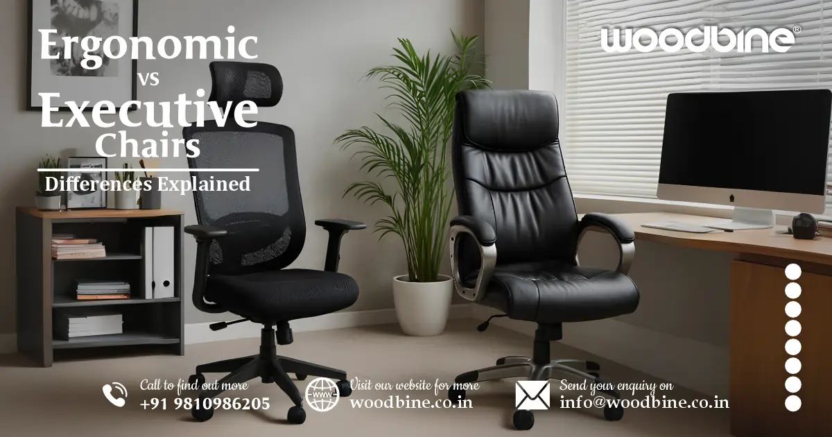 Ergonomic vs Executive Chairs: Key Differences Explained